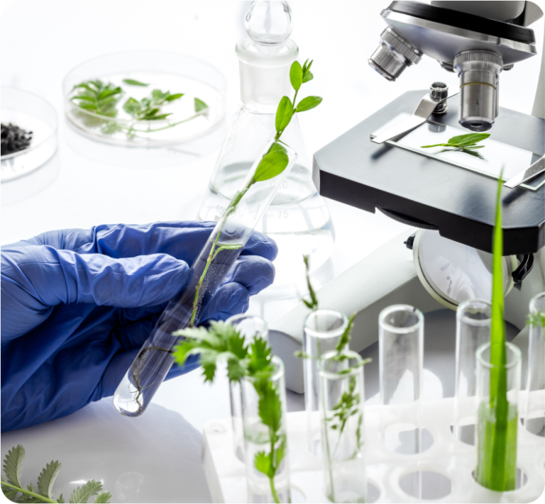 Rashmi Ayurvedic College Image 2